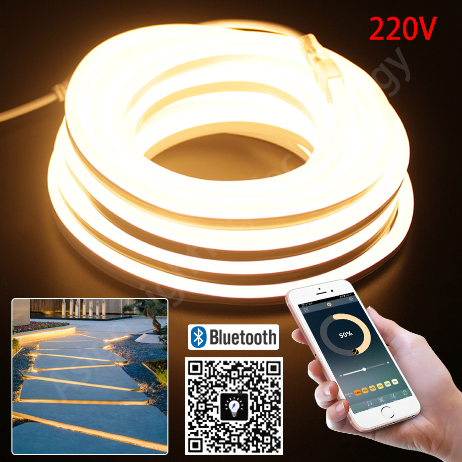 Outdoor Lighting Timer Switch - Светодиодная неоновая лента 220 В 2835