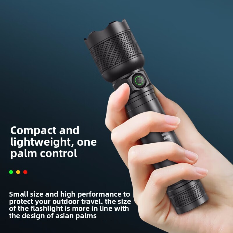 2025 НОВЫЙ Philips SFL2188 све – обзор и цена Outdoor Lighting Guide